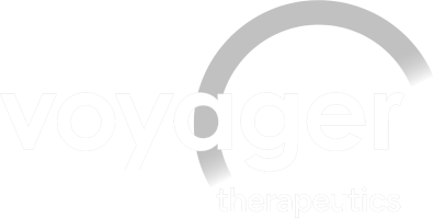 Logo-Voyager_New